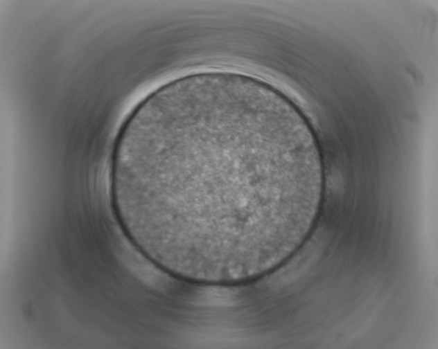 X0000113881514200910221345