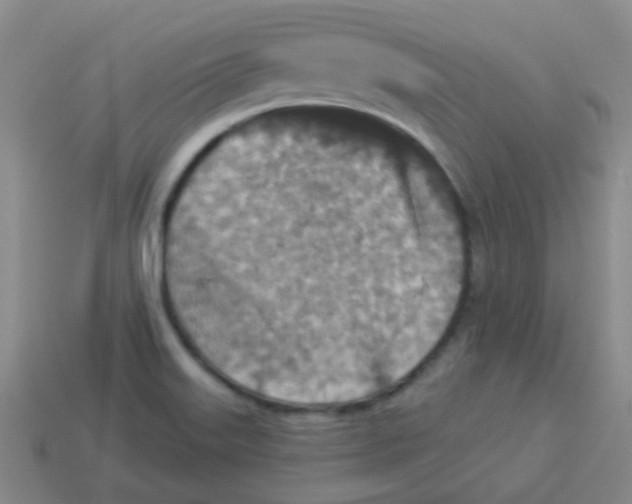 X0000113881515200910221345