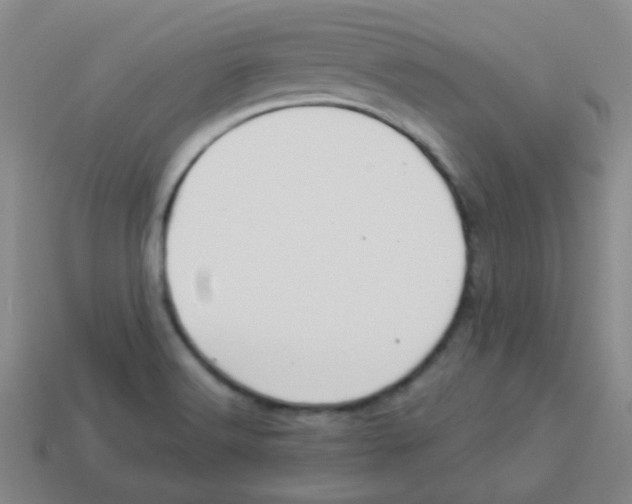 X0000113881516200910221345