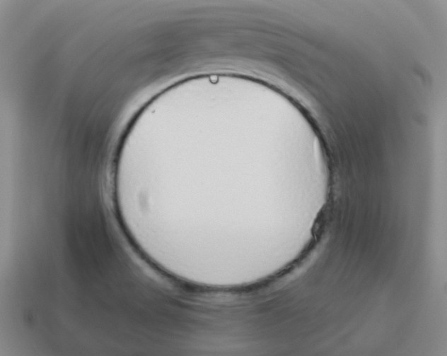 X0000113881517200910221345