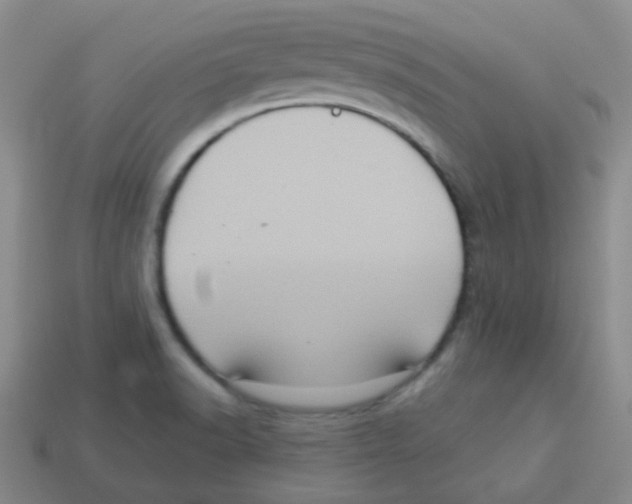 X0000113881518200910221345