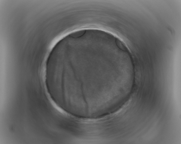 X0000113881519200910221345