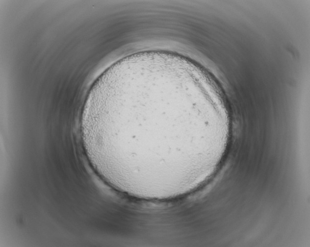 X0000113881521200910221345