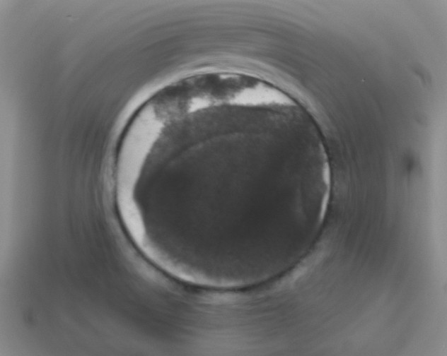 X0000113881522200910221345