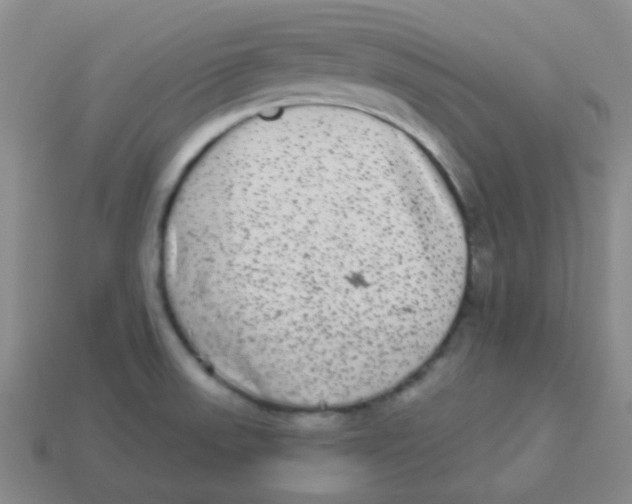 X0000113881523200910221345