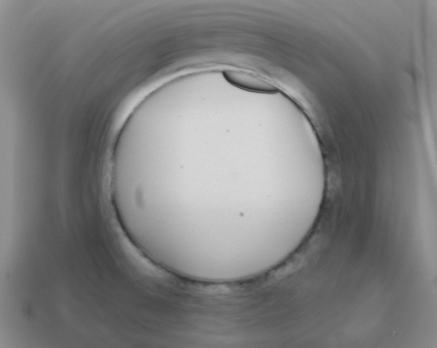 X0000113881524200910221345