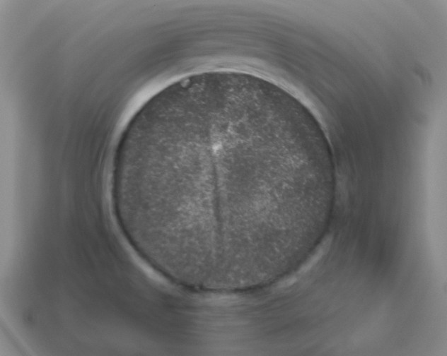 X0000113881525200910221345