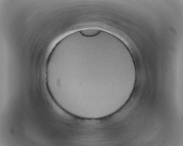 X0000113881526200910221345