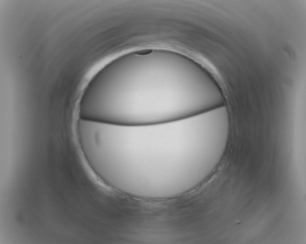 X0000113881528200910221345