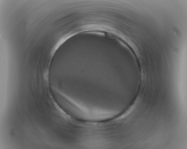 X0000113881529200910221345