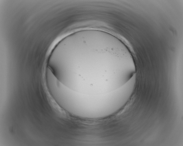 X0000113881530200910221345