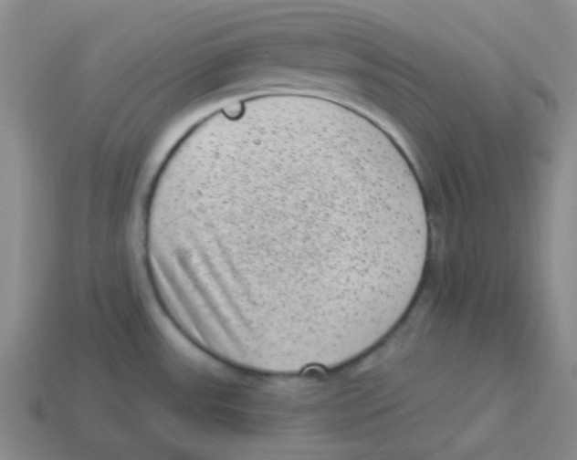 X0000113881531200910221345