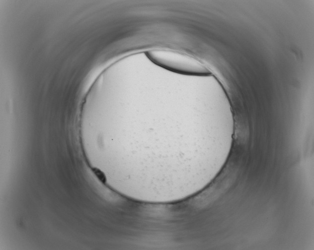 X0000113881532200910221345