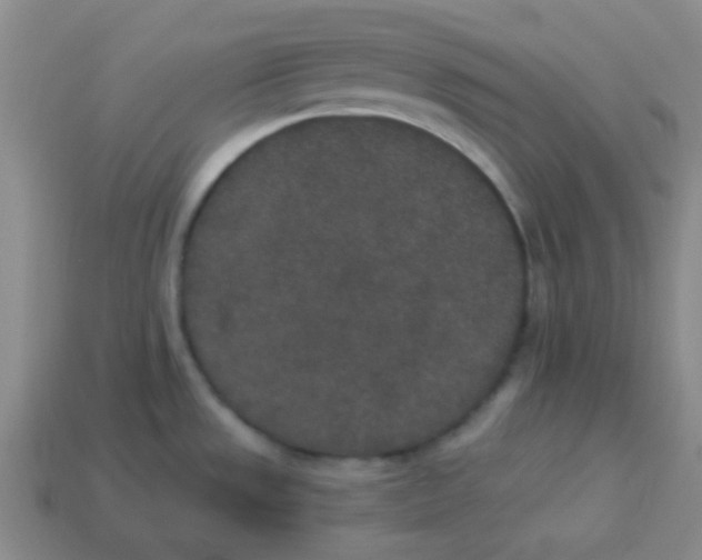 X0000113881533200910221345