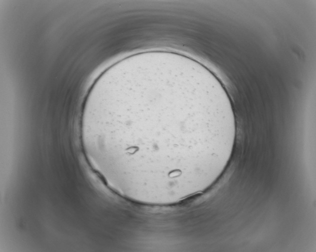 X0000113881534200910221345