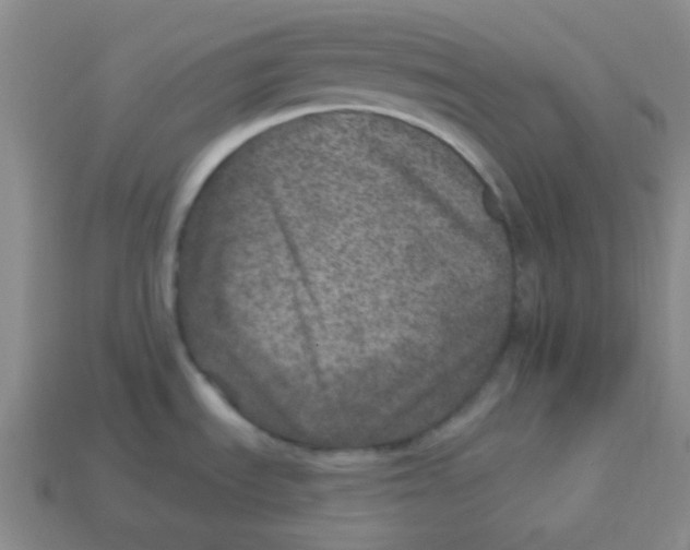 X0000113881535200910221345