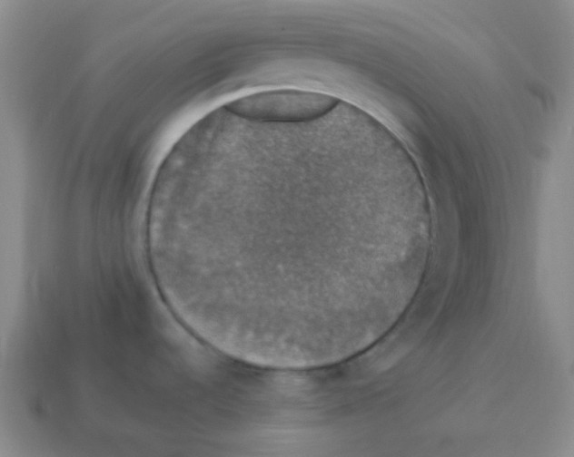 X0000113881536200910221345