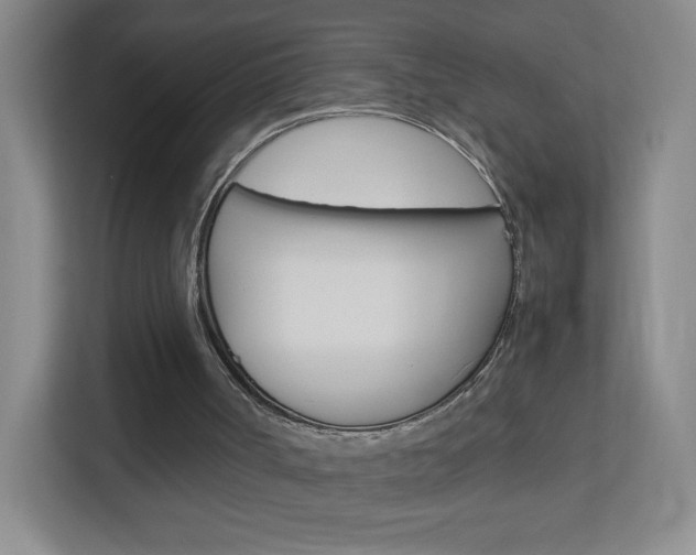 X0000113890002200909241152