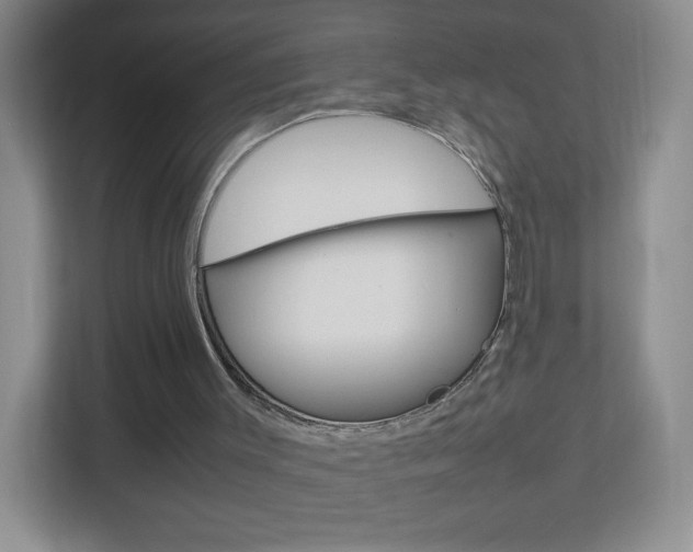 X0000113890003200909241152