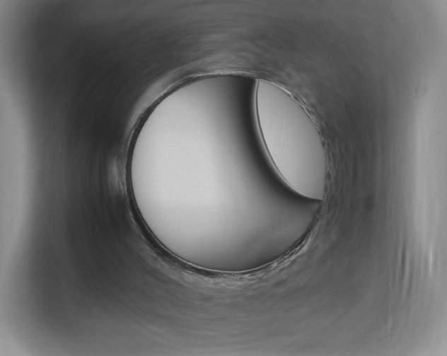 X0000113890004200909241152