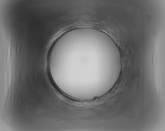 X0000113890005200909241152