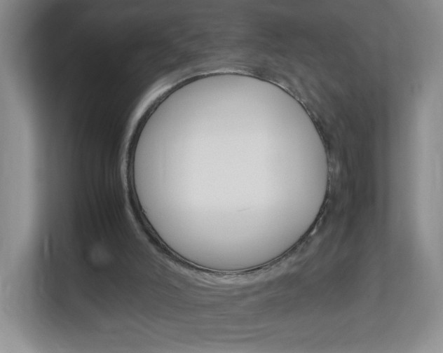 X0000113890006200909241151