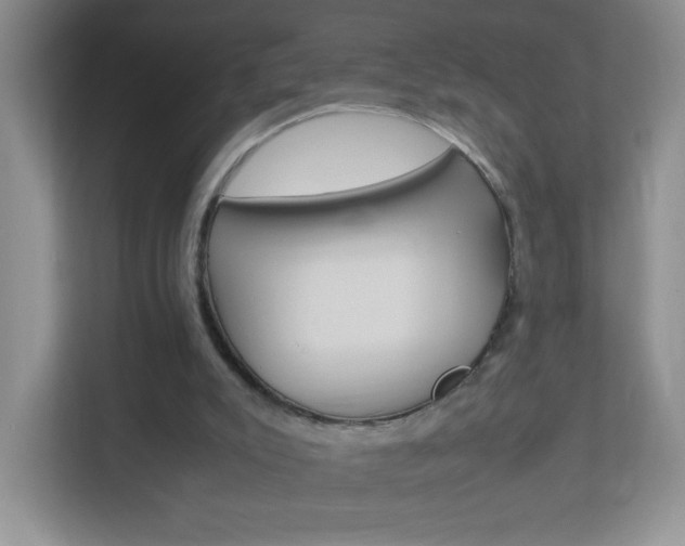 X0000113890007200909241151