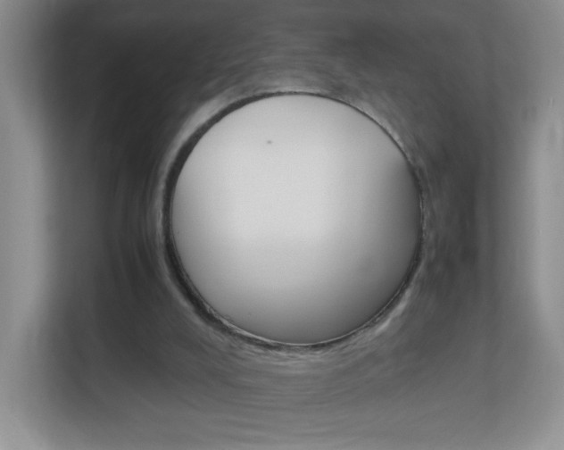 X0000113890008200909241151
