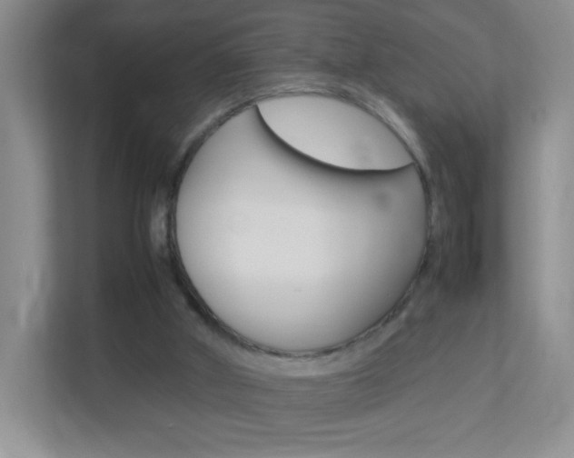 X0000113890010200909241151