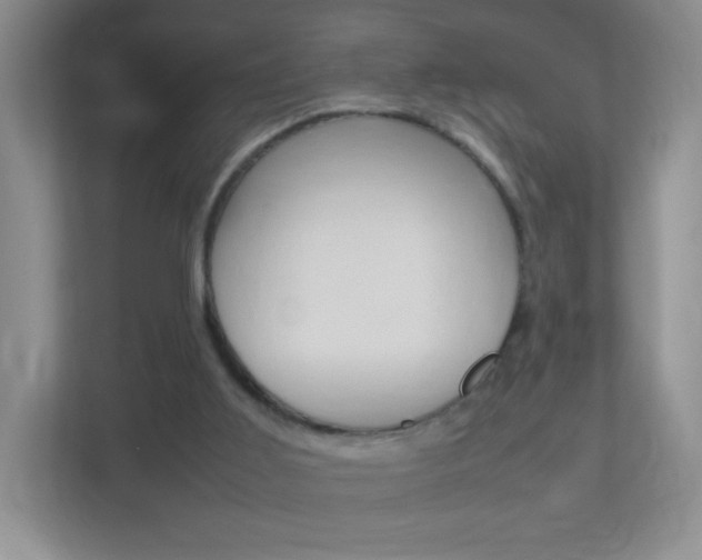 X0000113890011200909241151