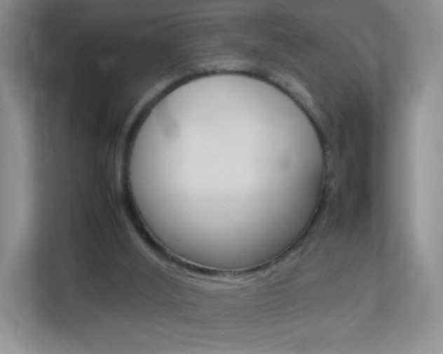 X0000113890012200909241151