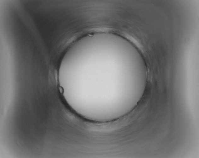 X0000113890013200909241151