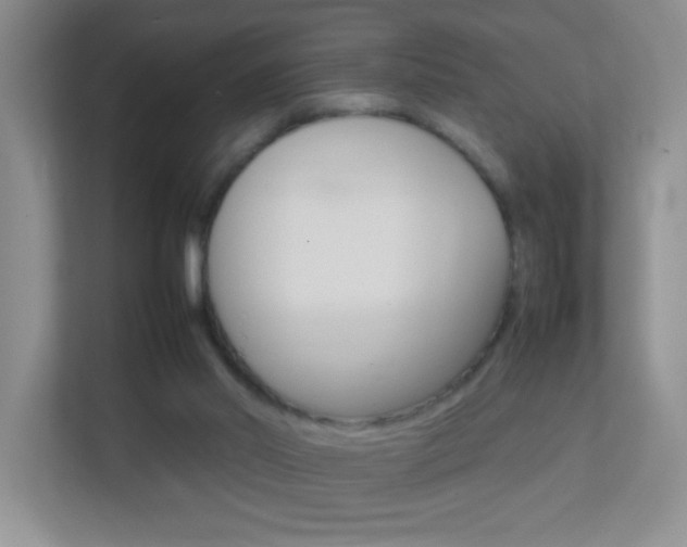 X0000113890014200909241151