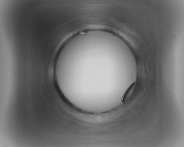 X0000113890015200909241151