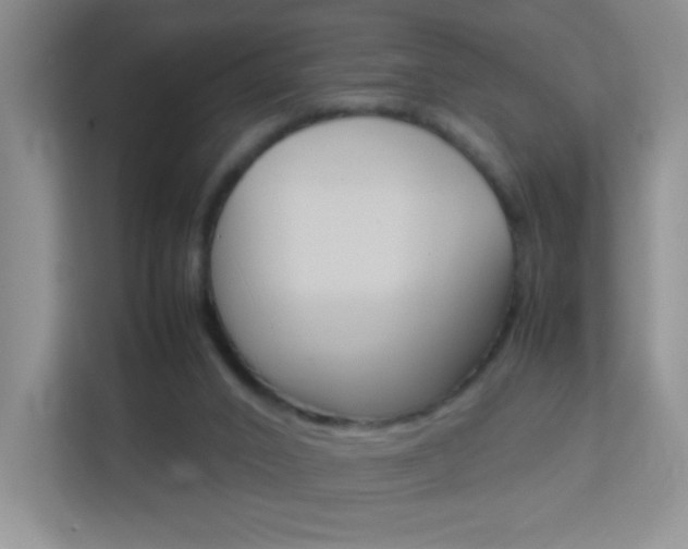 X0000113890016200909241151