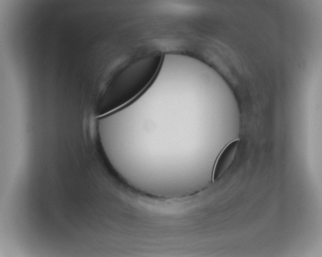 X0000113890019200909241151