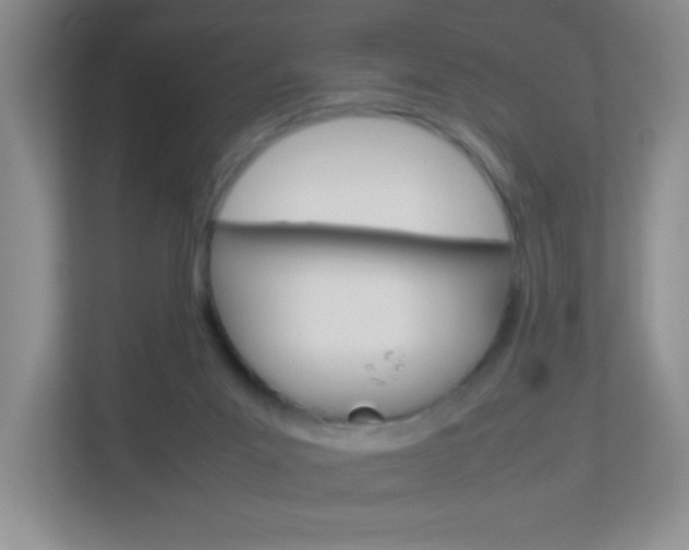 X0000113890023200909241151