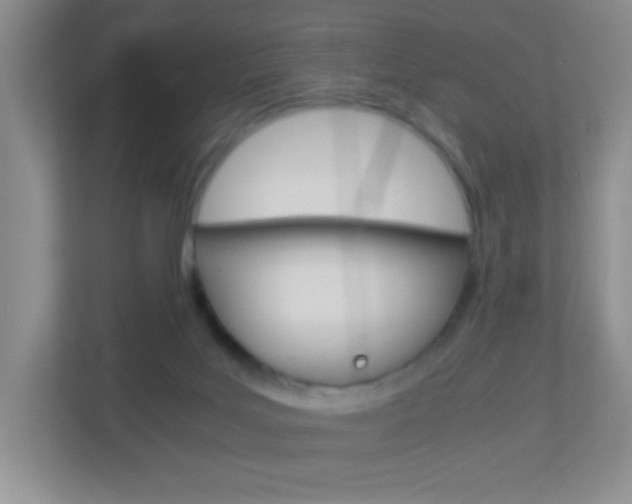 X0000113890027200909241151