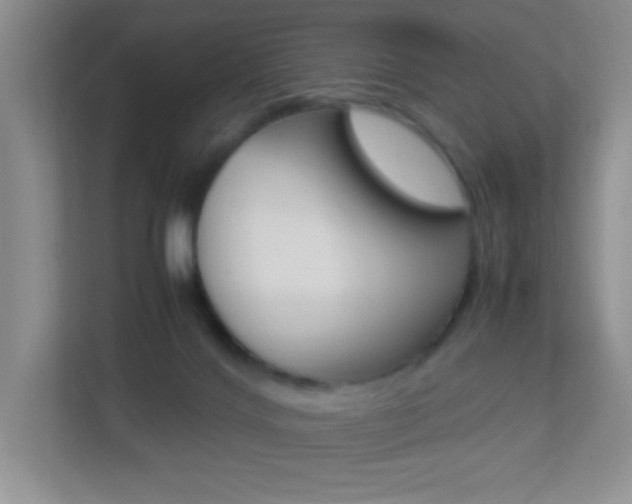X0000113890028200909241151
