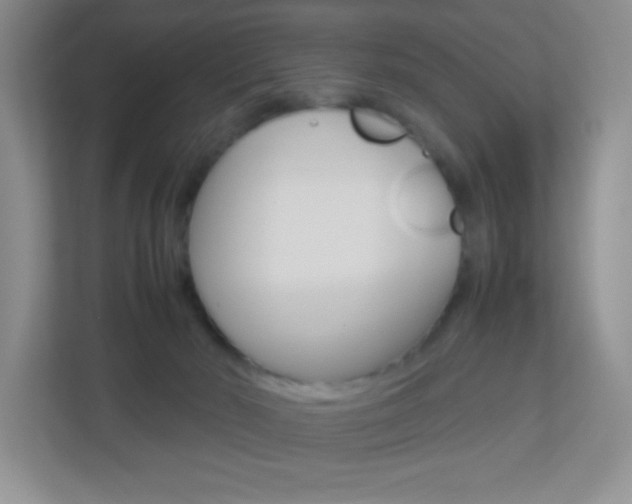 X0000113890030200909241151