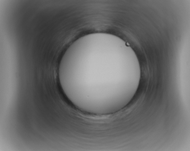 X0000113890032200909241151