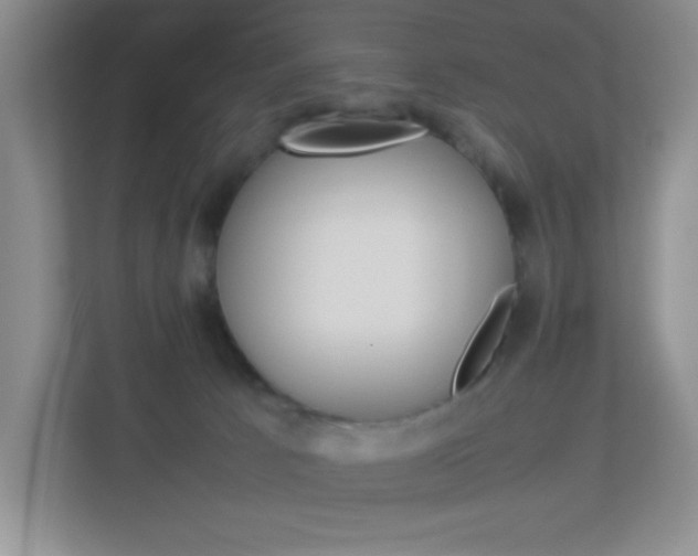 X0000113890033200909241151
