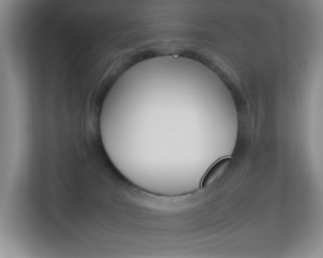 X0000113890035200909241151
