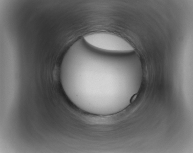 X0000113890036200909241151
