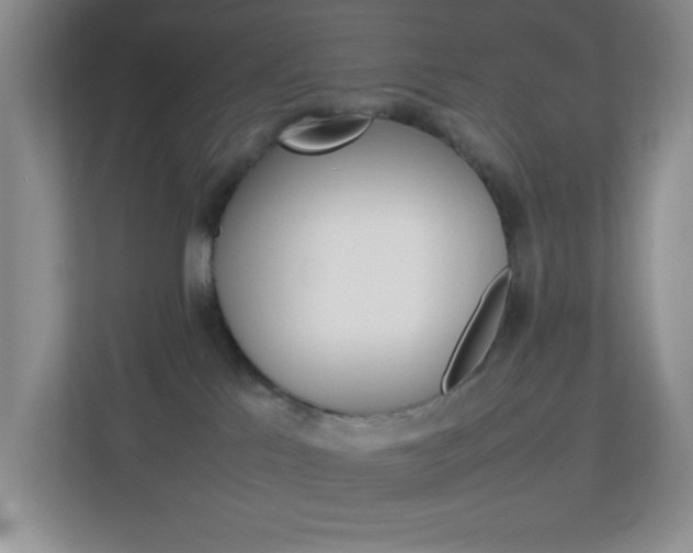 X0000113890041200909241151