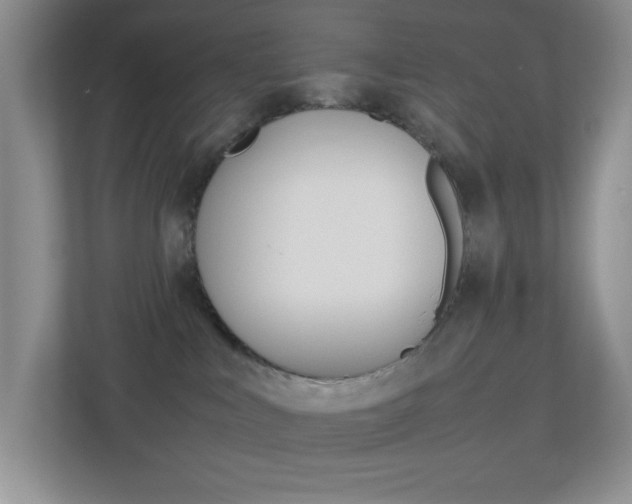 X0000113890043200909241151