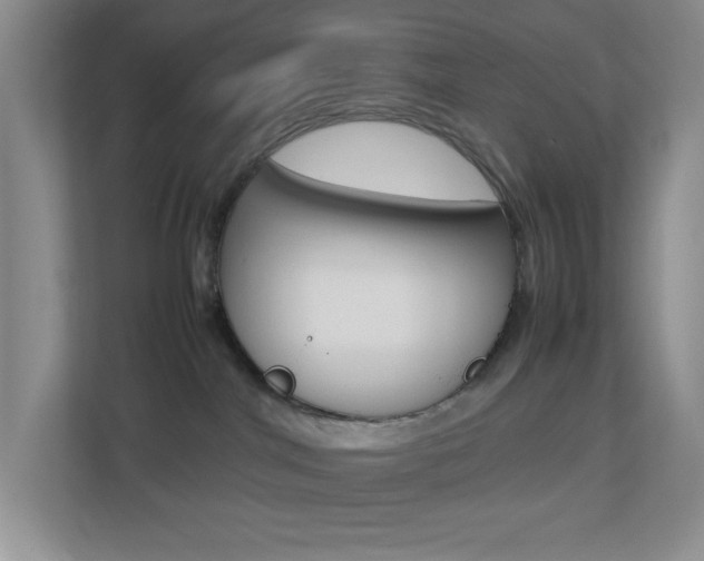 X0000113890044200909241151