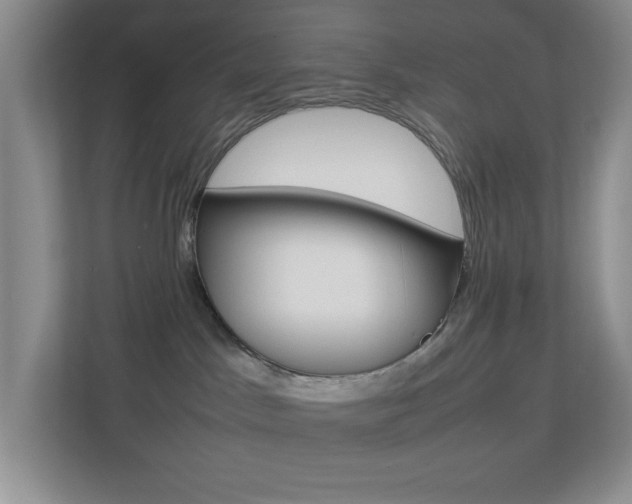 X0000113890045200909241151