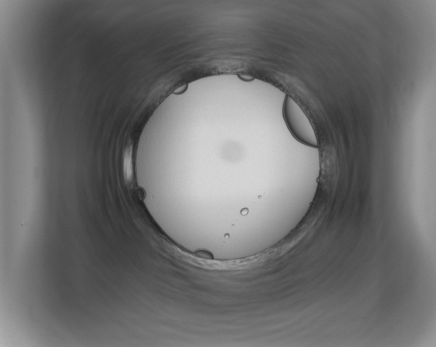 X0000113890046200909241151