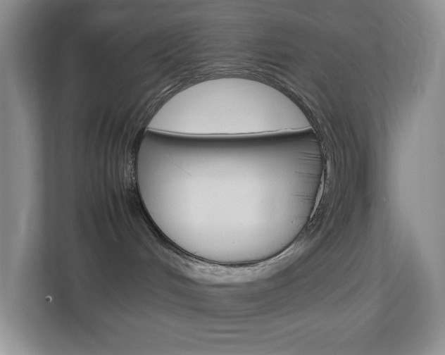 X0000113890048200909241151